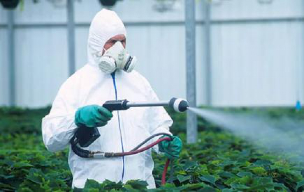 На забороні використання півсотні видів агрохімікатів і пестицидів наполягають бджолярі та громадські організації, звертаючись до Міністерства екології.